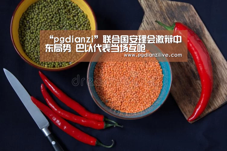 “pgdianzi”联合国安理会激辩中东局势 巴以代表当场互呛(图2)