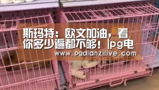 pg电子麻将胡了官网