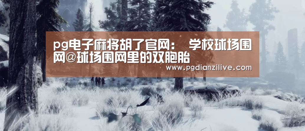pg电子麻将胡了官网