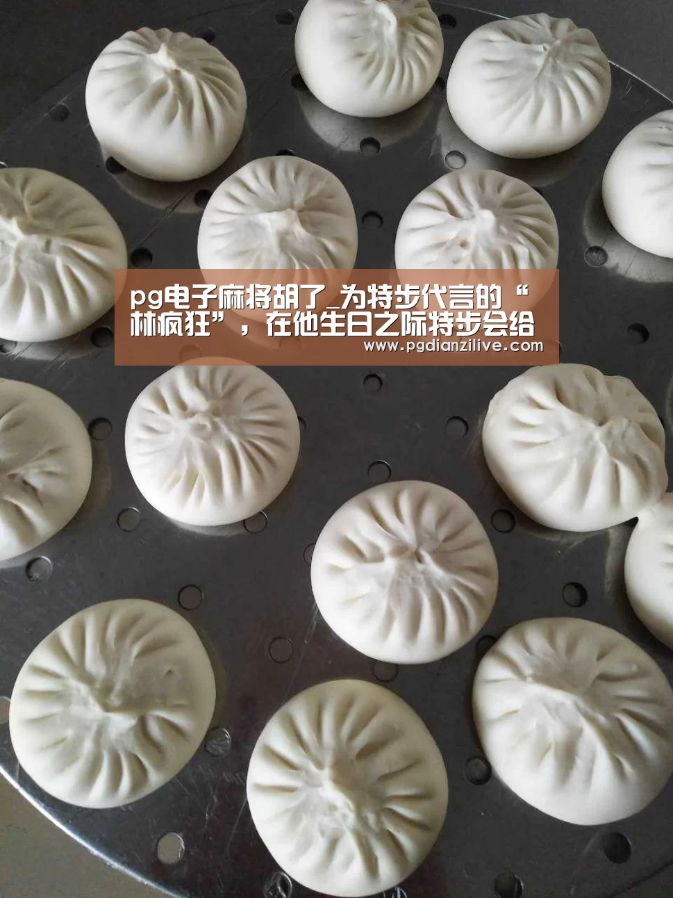 pg电子麻将胡了