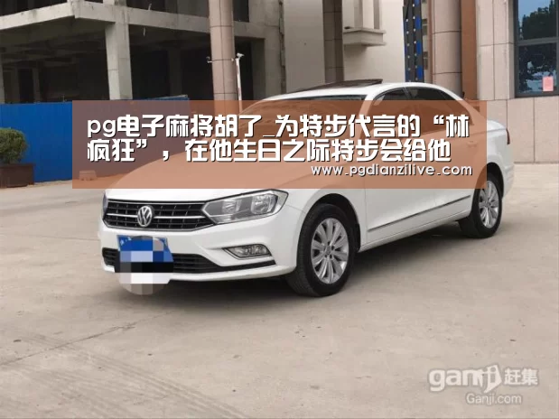 pg电子麻将胡了官网