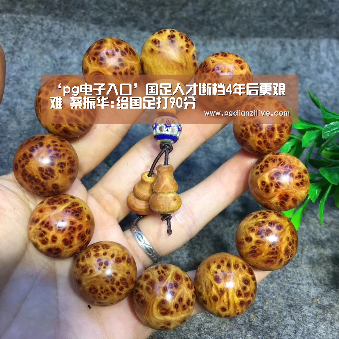 pg电子麻将胡了