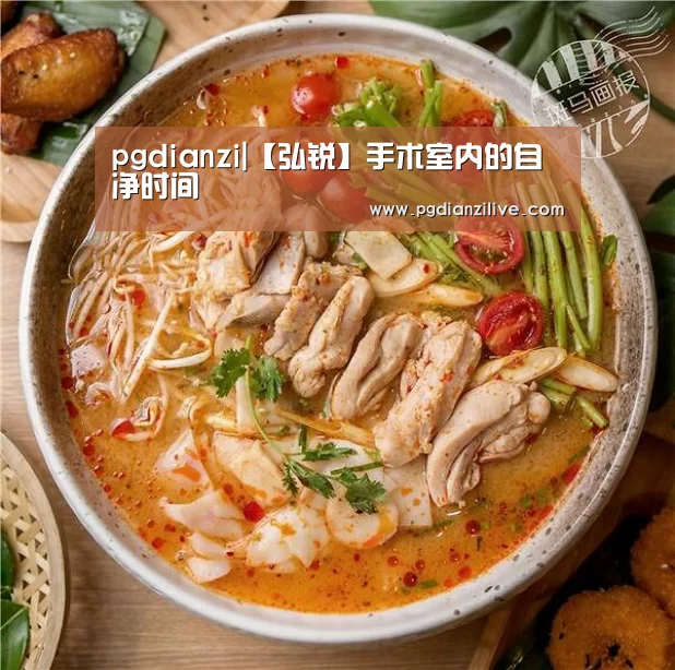 pgdianzi|【弘锐】手术室内的自净时间(图2) pg电子入口
