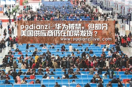 pgdianzi-华为被禁,但部分美国供应商仍在加紧发货?(图1) pgdianzi-华为被禁,但部分美国供应商仍在加紧发货?(图1)
