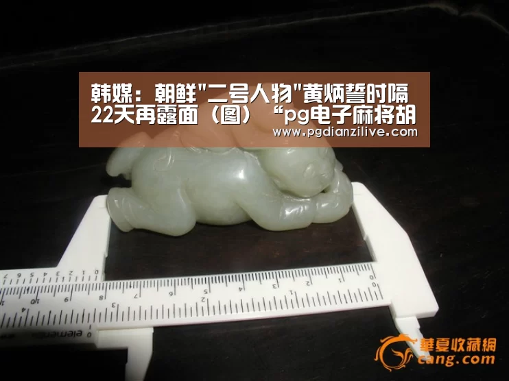 韩媒:朝鲜二号人物黄炳誓时隔22天再露面(图)“pg电子麻将胡了”(图1) pg电子入口