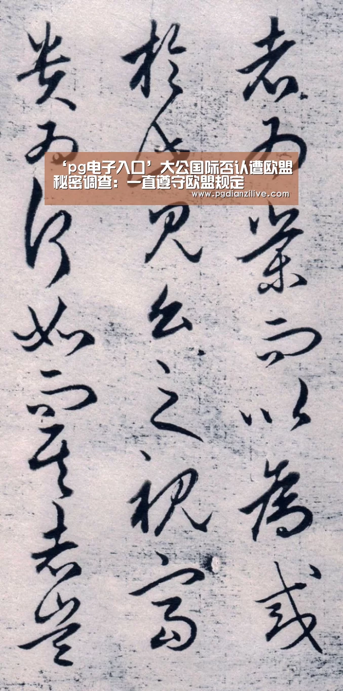 ‘pg电子入口’大公国际否认遭欧盟秘密调查:一直遵守欧盟规定(图3) pg电子麻将胡了
