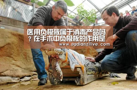 医用负极板属于消毒产品吗?在手术中负极板的作用是什么?“pg电子麻将胡了”(图1) pg电子麻将胡了官网