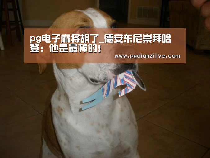 pg电子麻将胡了_德安东尼崇拜哈登:他是最棒的!(图1) pg电子麻将胡了_德安东尼崇拜哈登:他是最棒的!(图1)