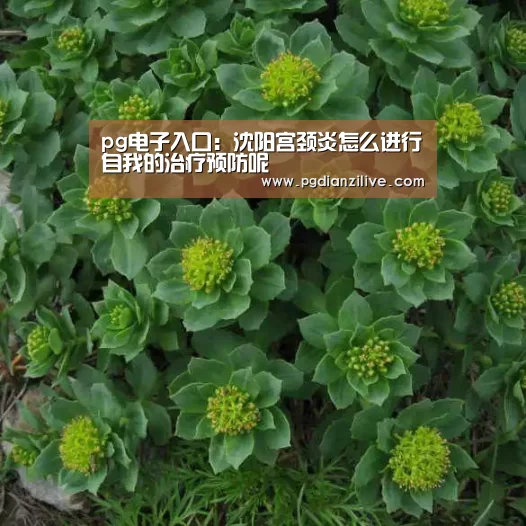pg电子入口:沈阳宫颈炎怎么进行自我的治疗预防呢(图2) pg电子麻将胡了官网
