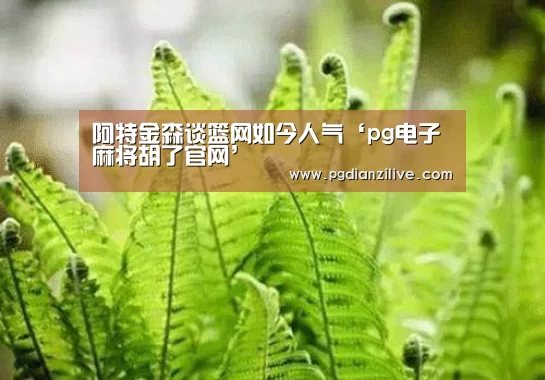 阿特金森谈篮网如今人气‘pg电子麻将胡了官网’(图4) pg电子麻将胡了官网