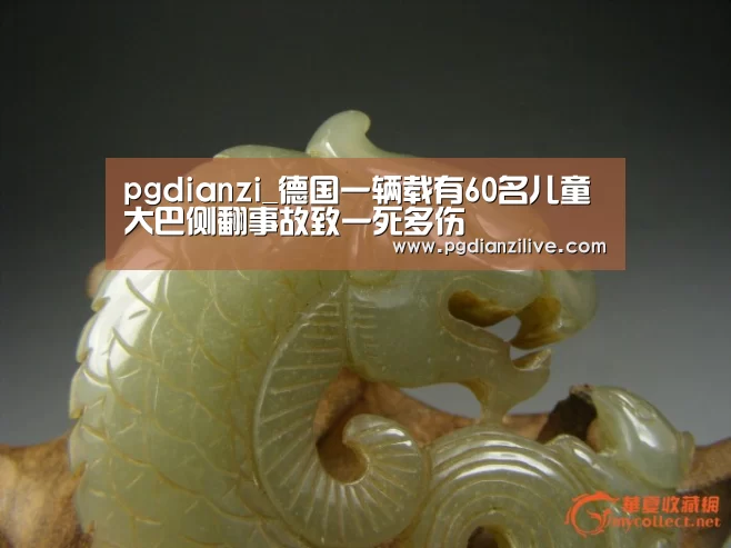 pgdianzi_德国一辆载有60名儿童大巴侧翻事故致一死多伤(图4) pg电子入口