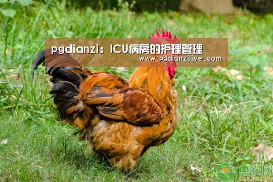 pgdianzi:ICU病房的护理管理(图1) pg电子麻将胡了