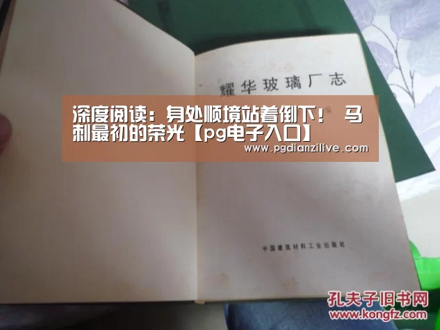 pg电子麻将胡了