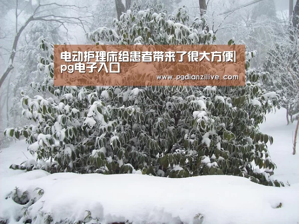 电动护理床给患者带来了很大方便|pg电子入口(图2)